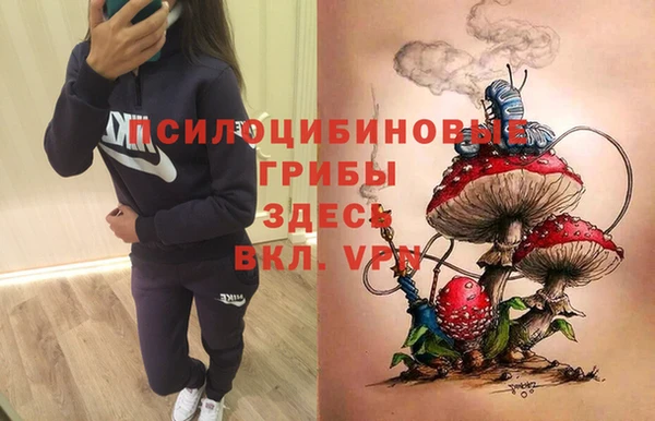 MESCALINE Баксан